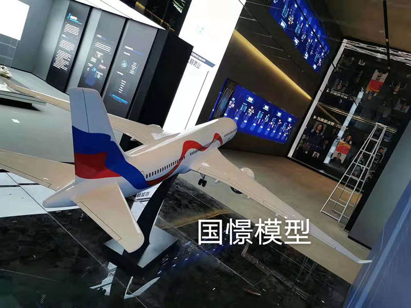 全椒县飞机模型